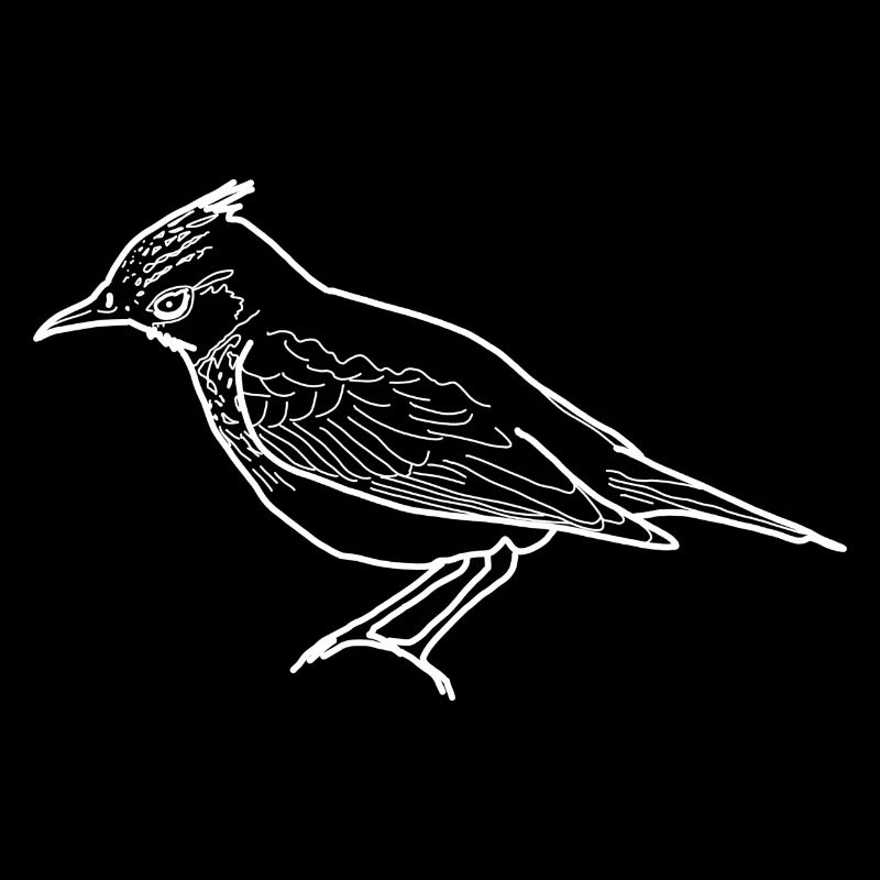 Lark lineart
