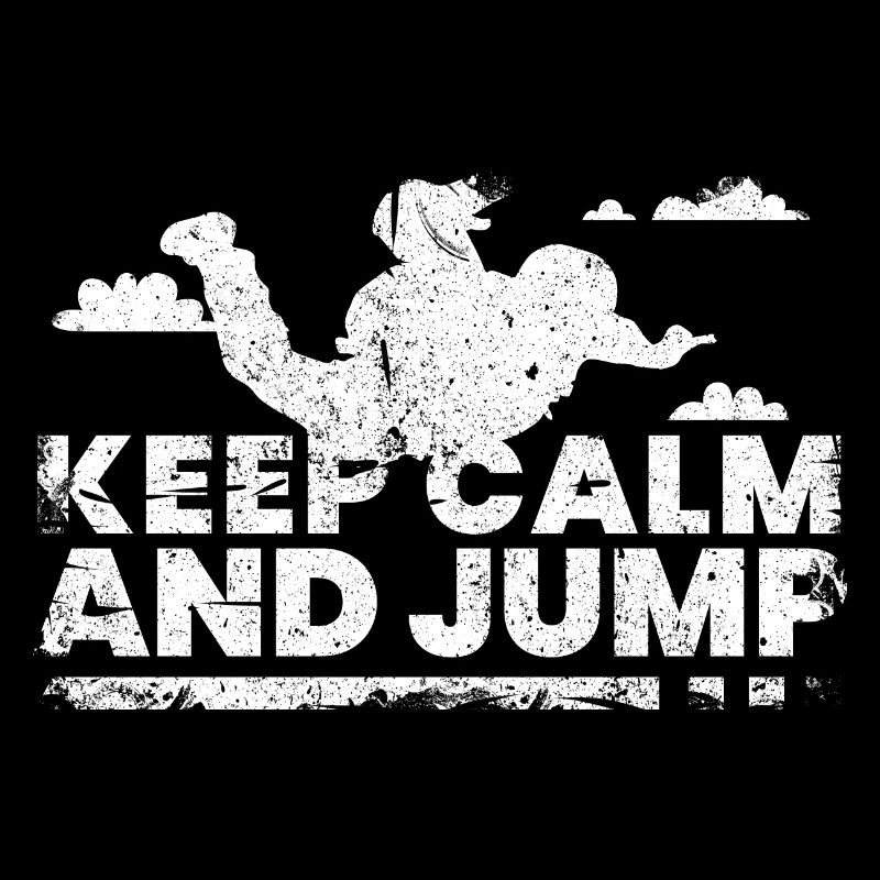 Skydiving Skydiving Sky Diving