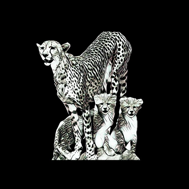 cheetah