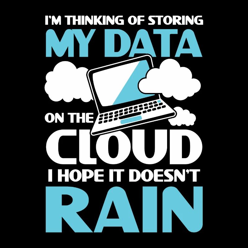 I'm Thinking Of Storing My Data On The Cloud