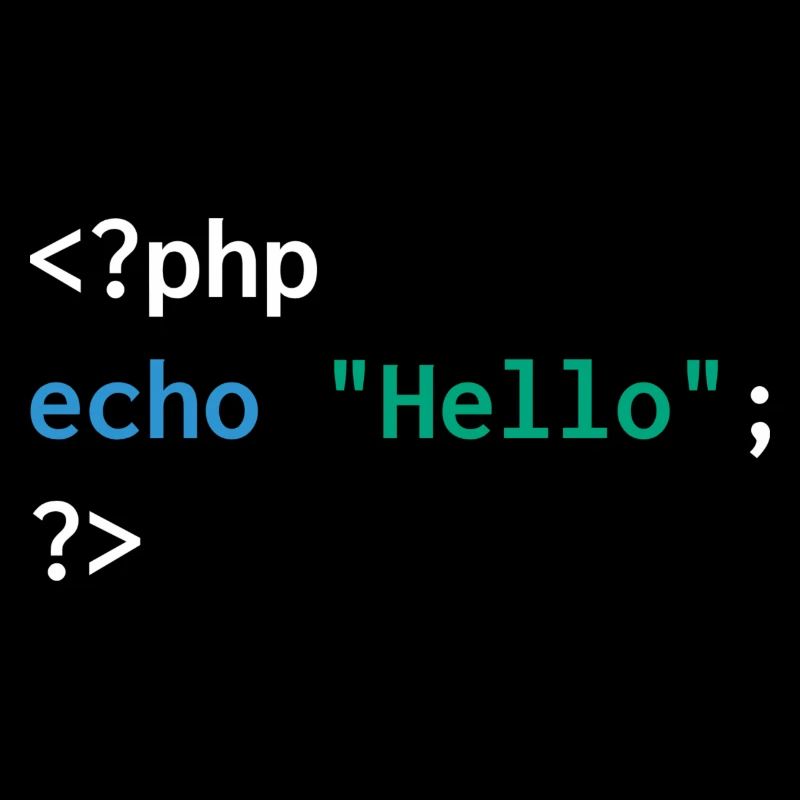 Développeur php web humour drôle