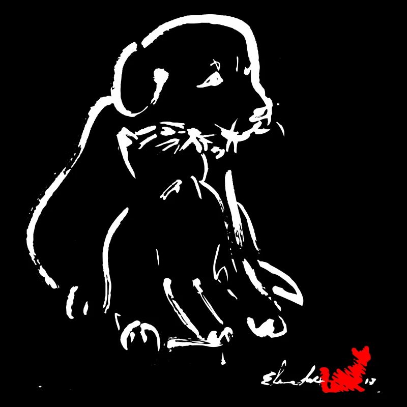 Hund und Katze
