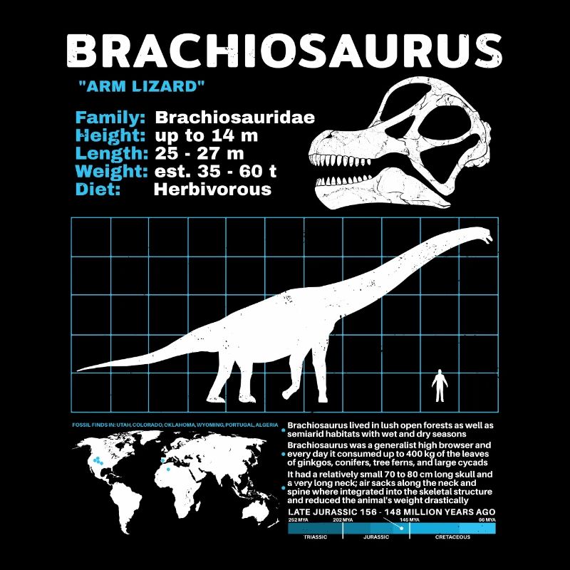 Fiche technique de Brachiosaurus