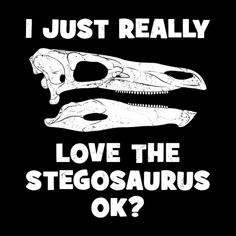 Stegosaurus Fossil Schädel