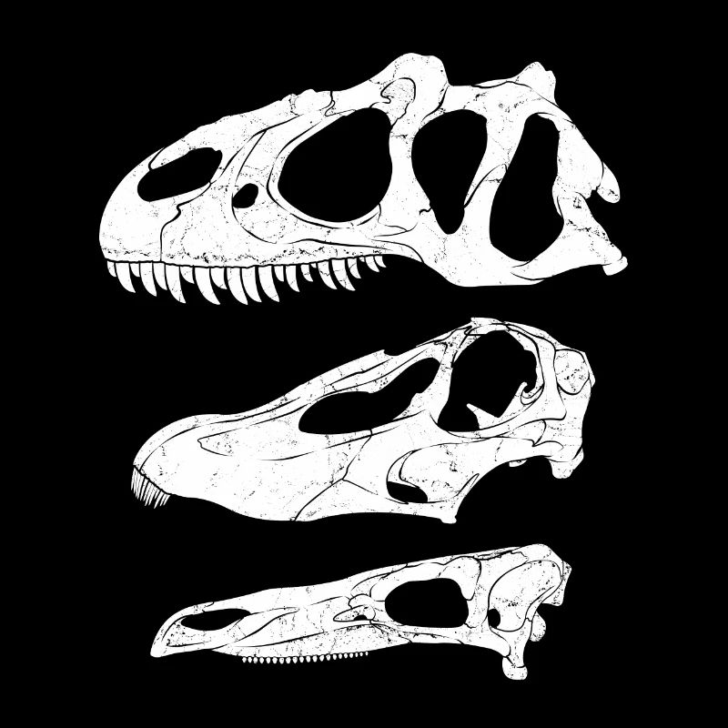 Allosaurus Diplodocus Stegosaurus