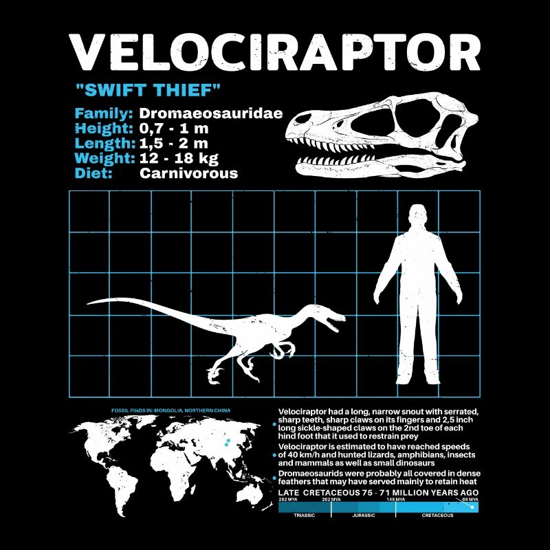 Fiche d’information sur Velociraptor