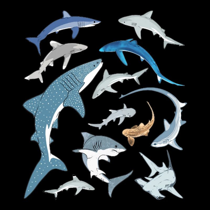 Requin bleu, requin-baleine, requin-marteau, requin requin, espèce de requin