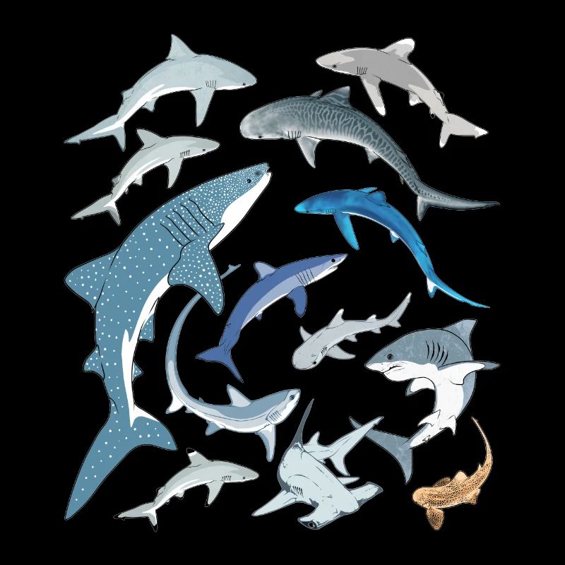 requin tigre requin bleu requin baleine espèce de requin