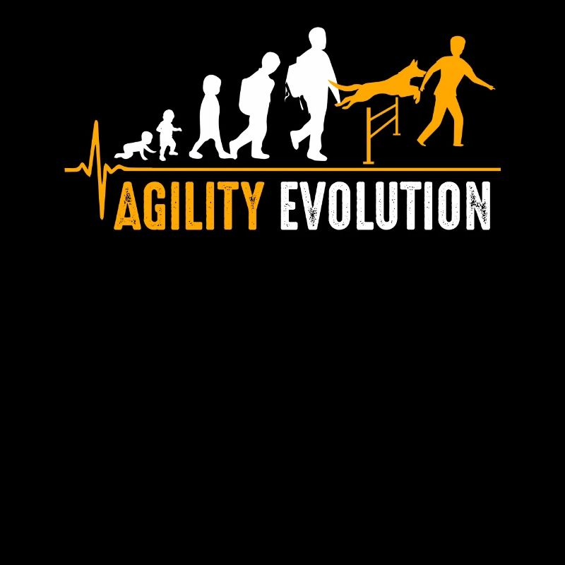 Naissance d'agilité