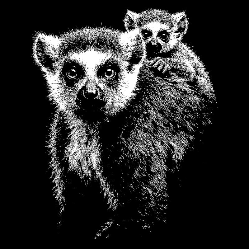 ring-tailed lemur