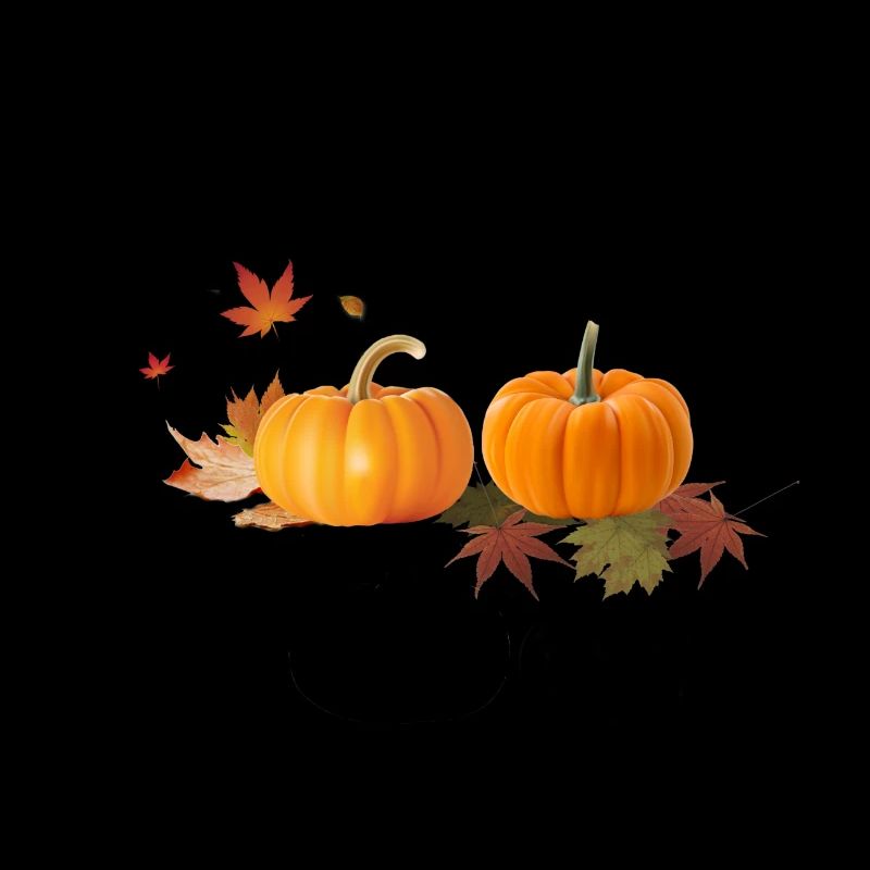 Pumpkin orange pumpkin