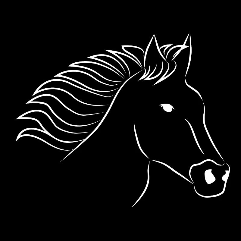 Tête de cheval blanche