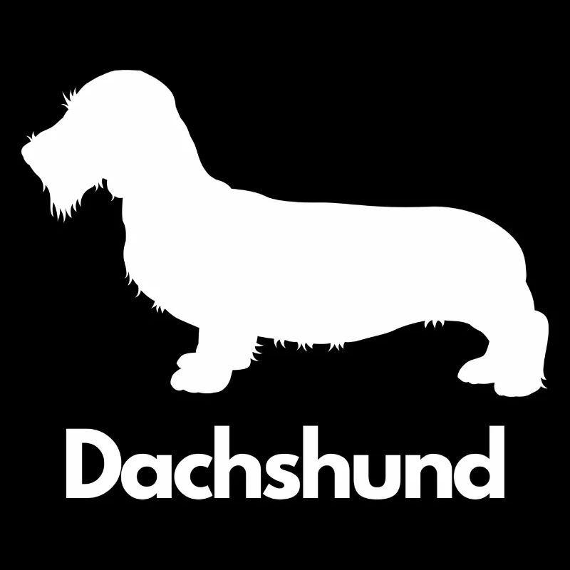 Dachshund, Dackel, Teckel, Rauhaardackel