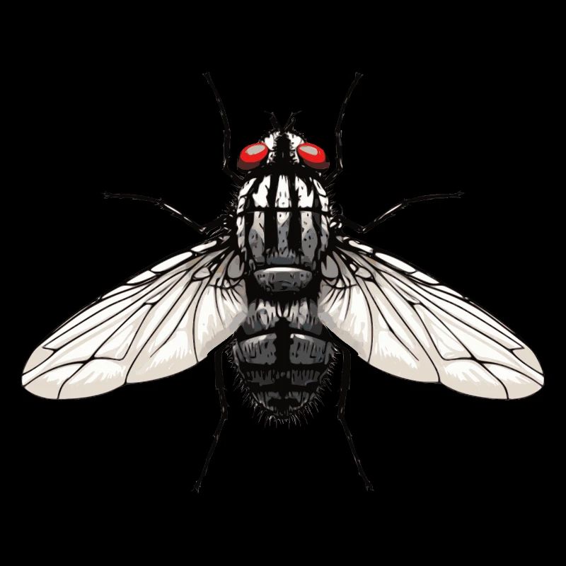 Mouche