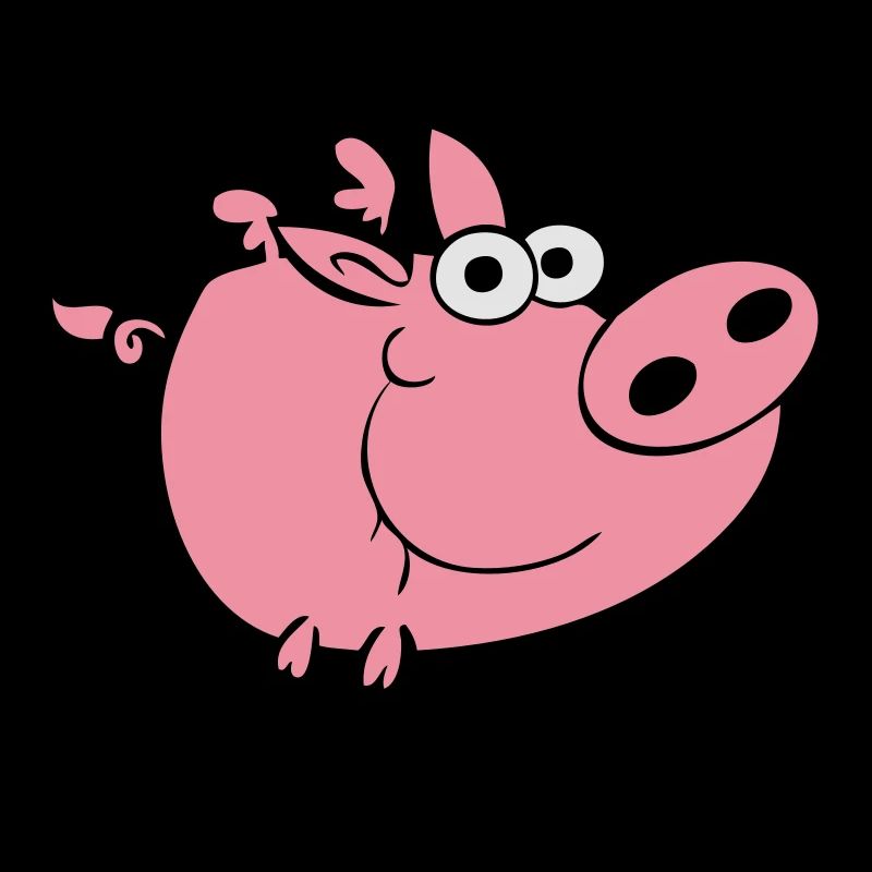 Flying Pig