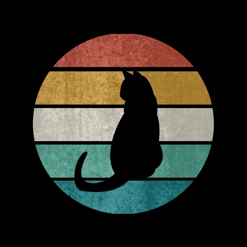 chat noir