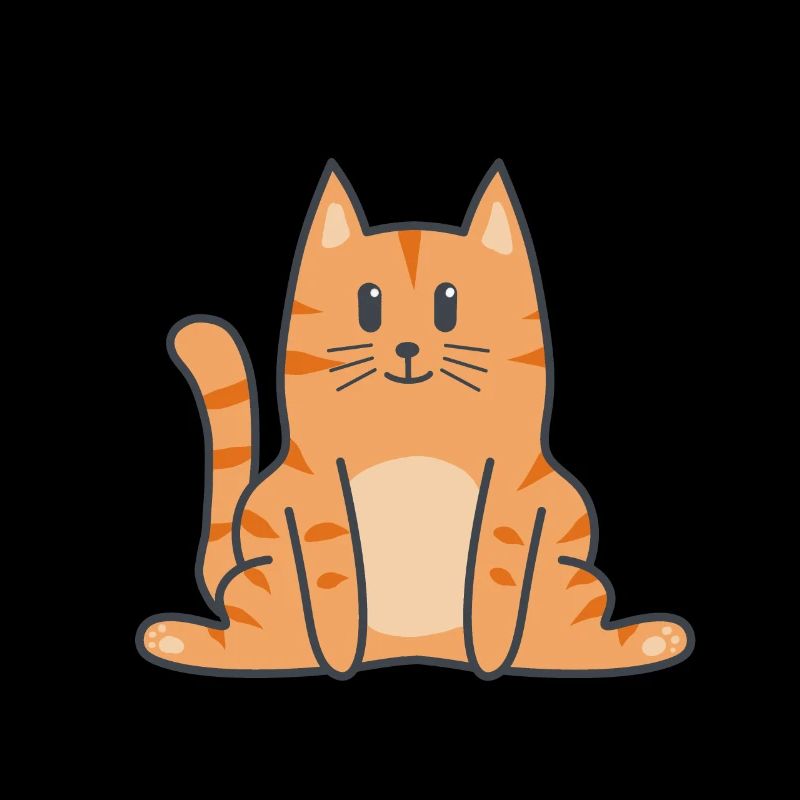 Katze Katzen Kitten