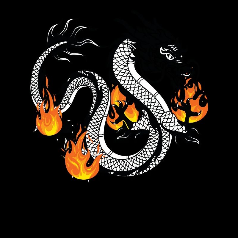 Dragon Dragons Conception dragon