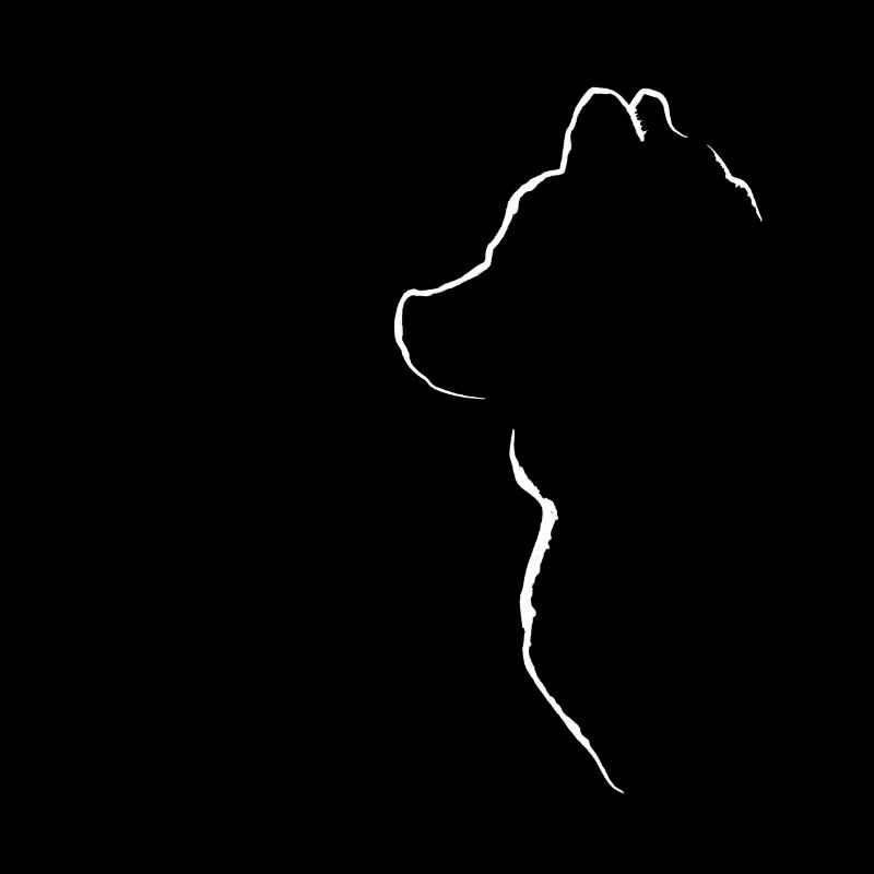 Silhouette de photo de chien