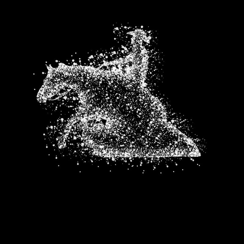 Reining - Cheval de glisse