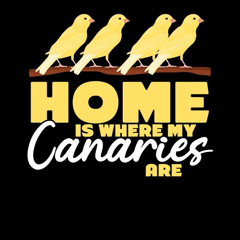Canary Bird Canaries
