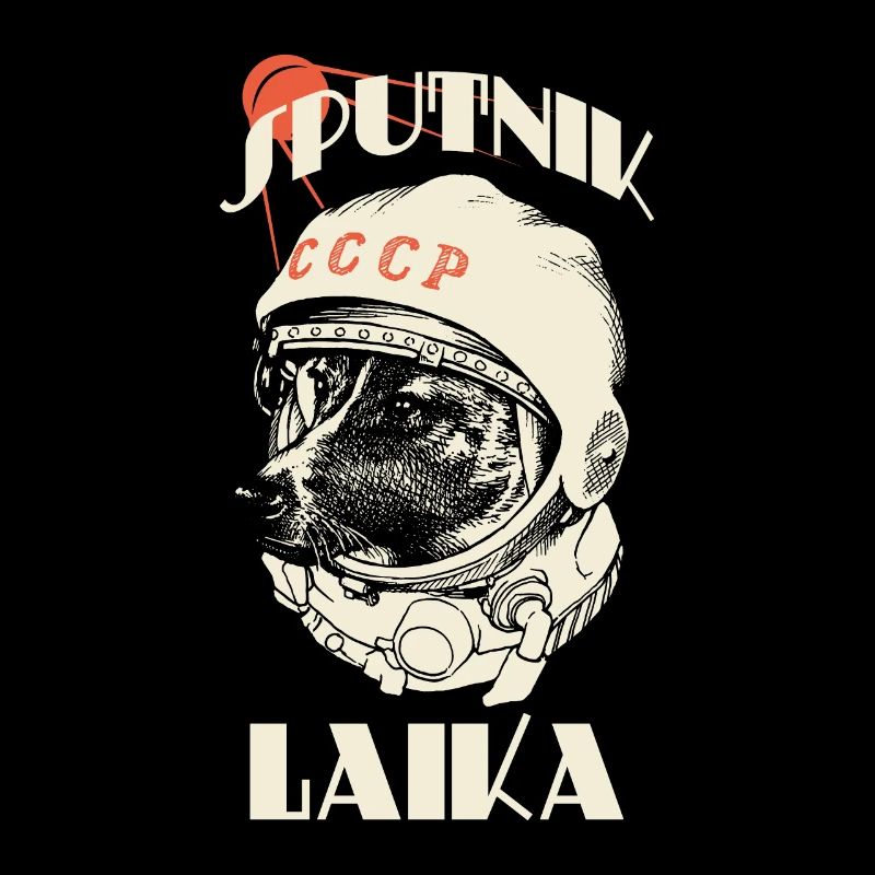 Sputnik Laika SSSR Gagarin Soviet