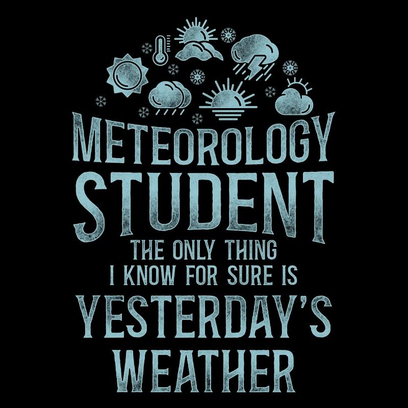 Meteorologist Weather Forecast