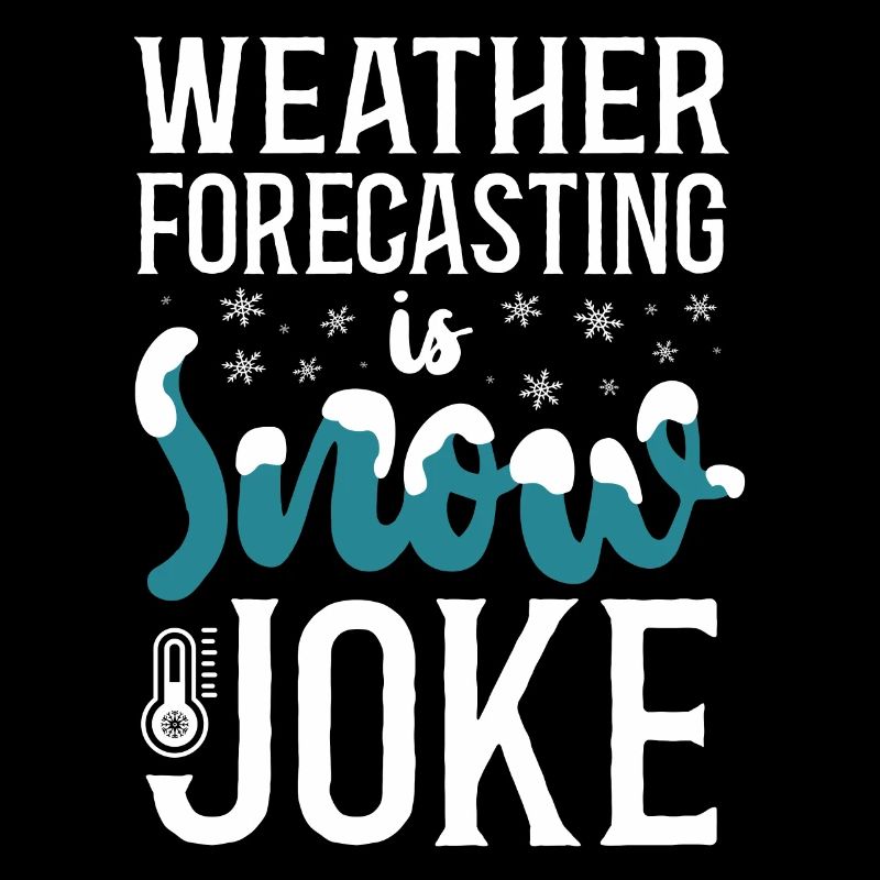 Meteorologist Weather Forecast