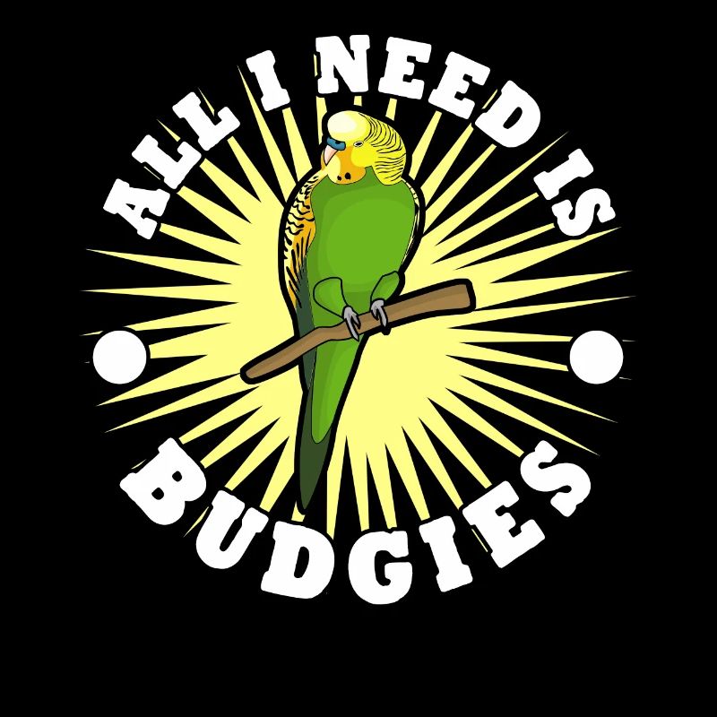 Perruche Perruche Budgerigar