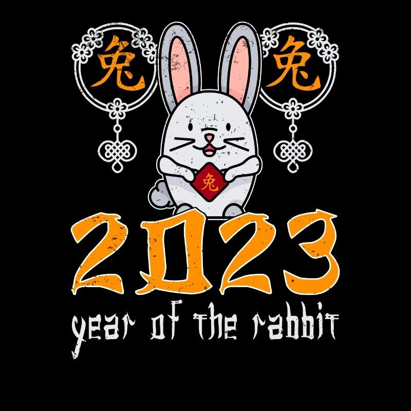 Chinese Rabbit Character New Year 2023