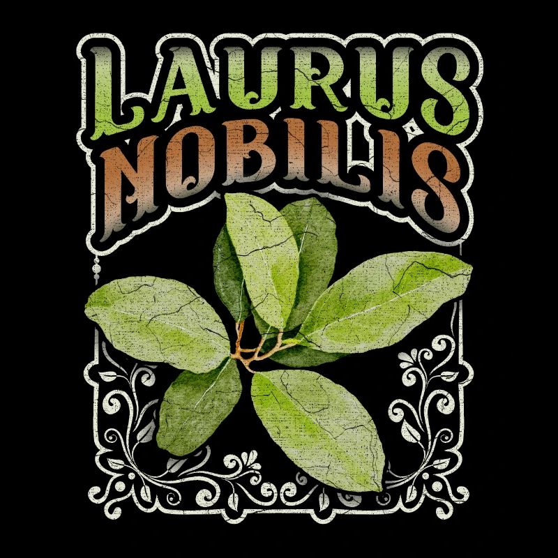 Feuille de laurier, feuille de laurier, Laurus-Nobilis