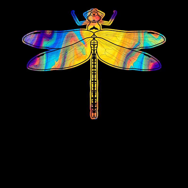 Libellule Libellules Insectes Libellules
