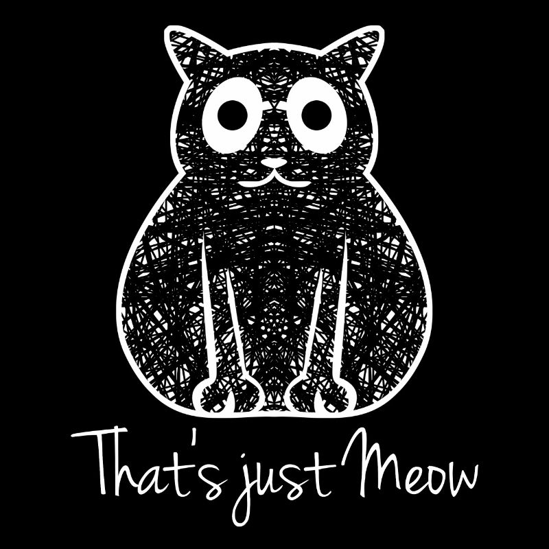 Chaton Chaton Chat domestique Chats