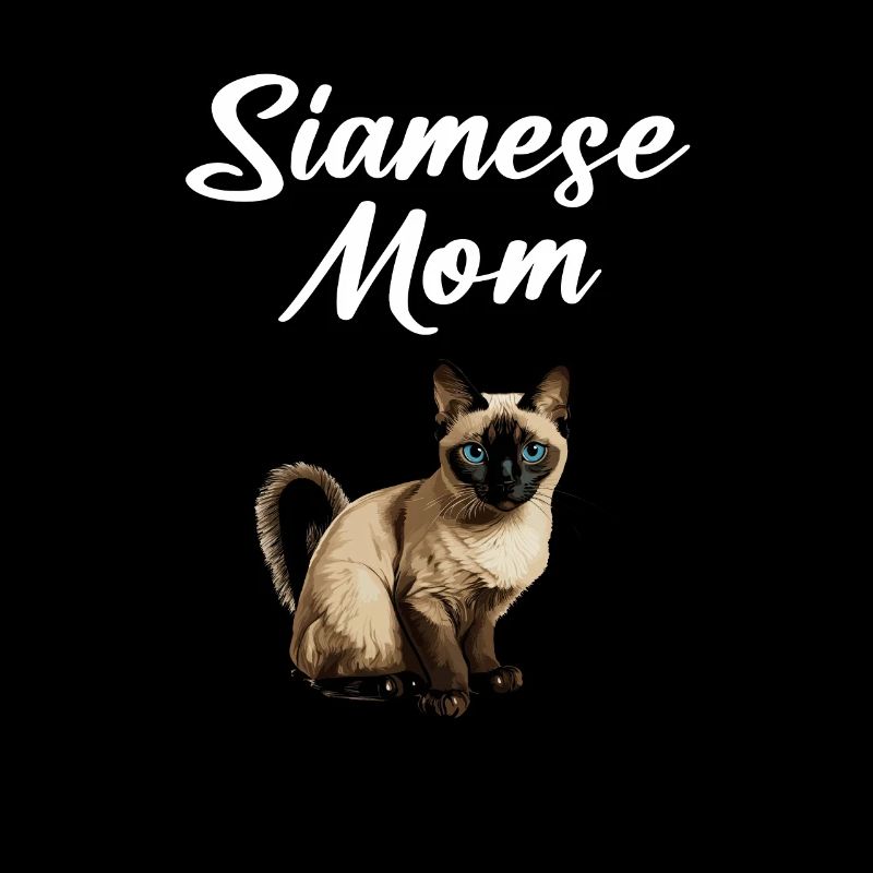 siamese cat