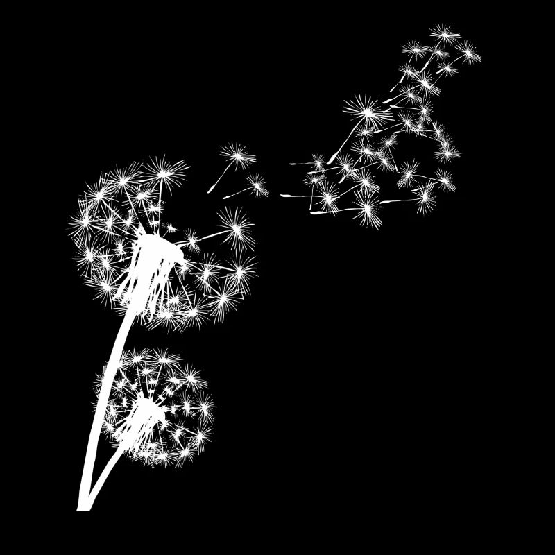 Looked in Dandelion