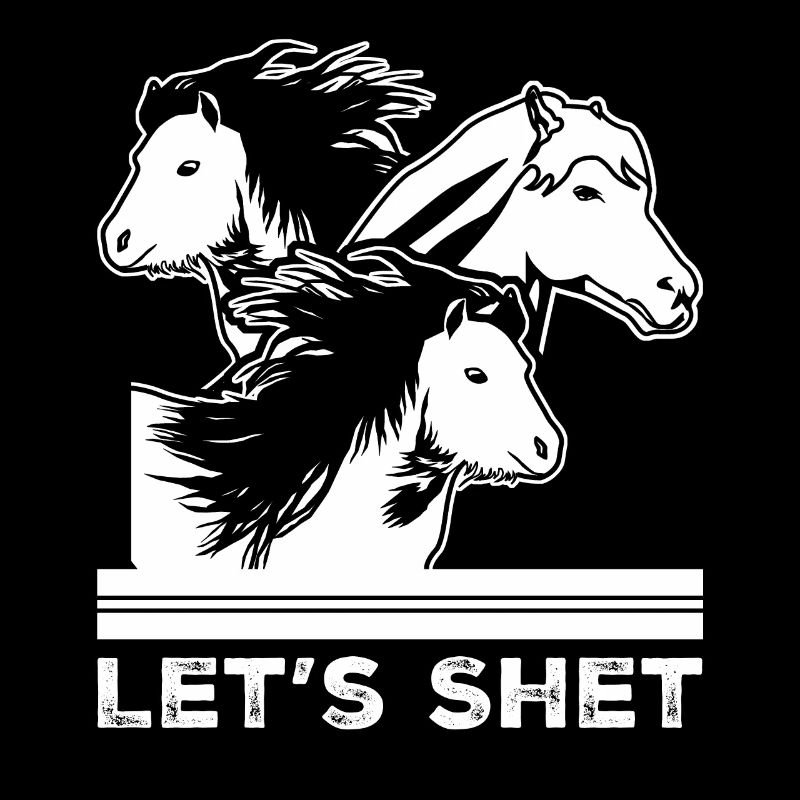 Shetland Pony Riding Horses Shetty