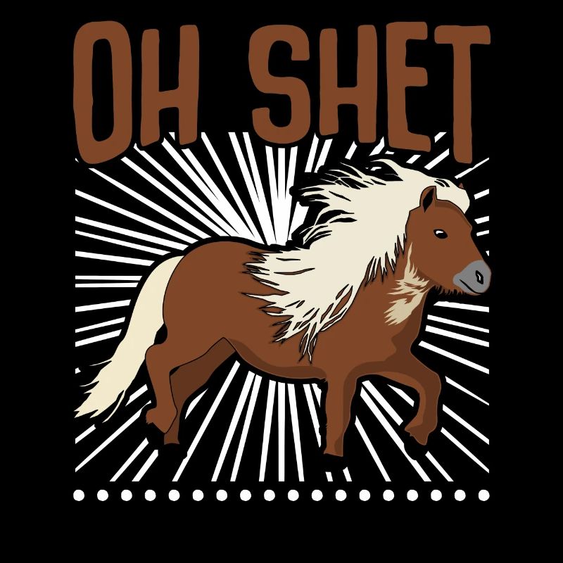 Shetlandpony Shetty Shetland Pony