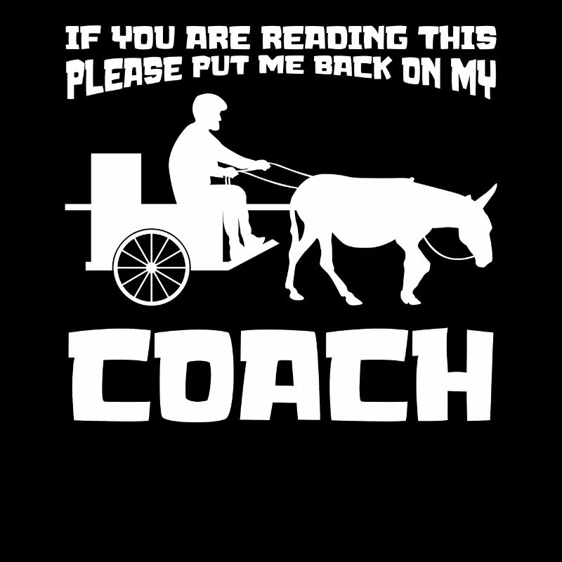 Cocher de calèche à âne