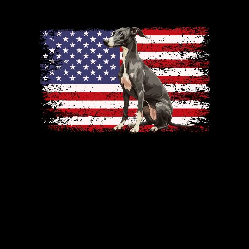 whippet chien drapeau américain
