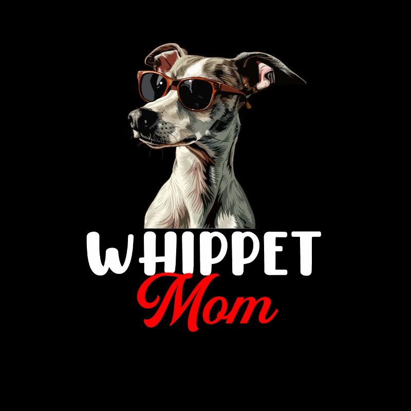 Chien Whippet