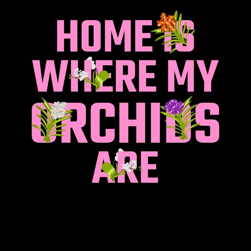 Flowers Orchid Orchids Phalaenopsis