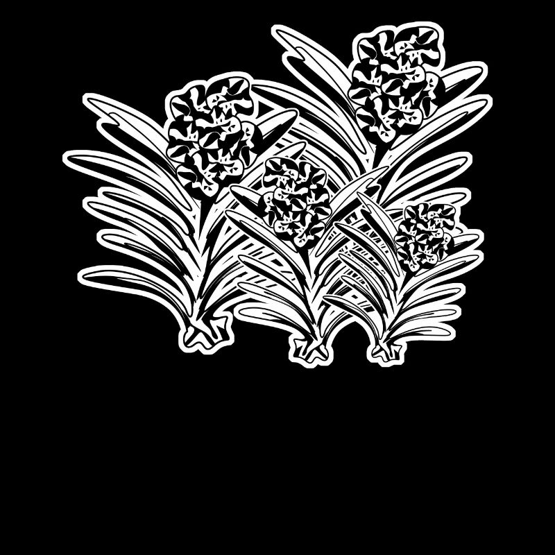 Orchidées Fleurs Orchidée