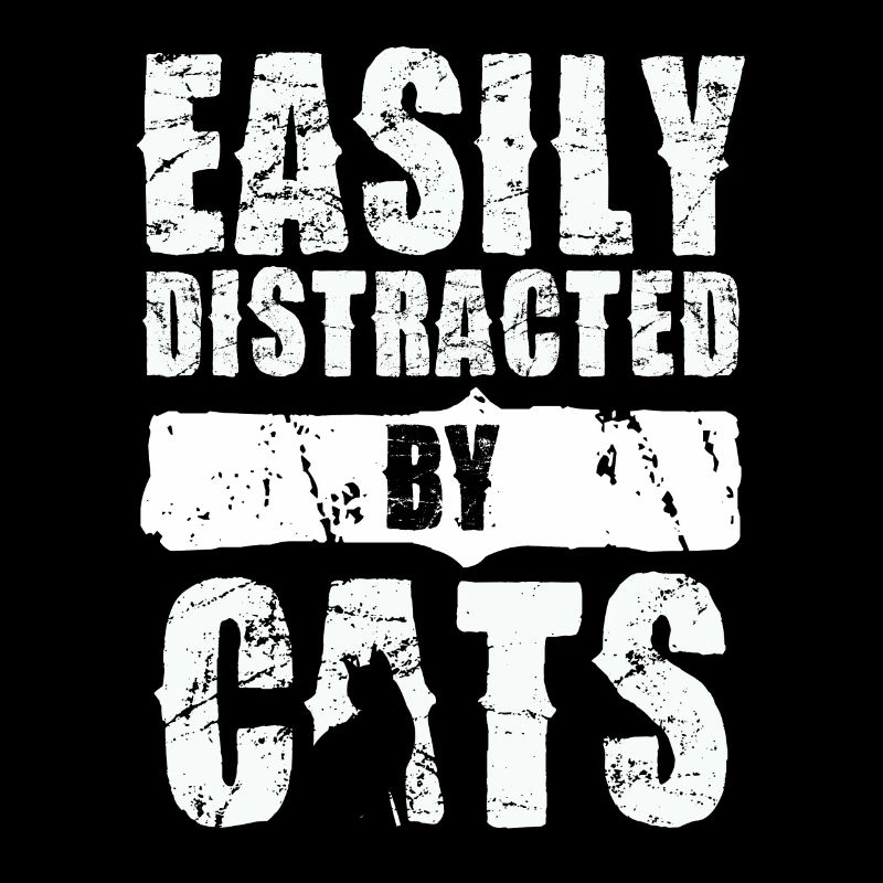 Leicht Ablenkbar Durch Katzen