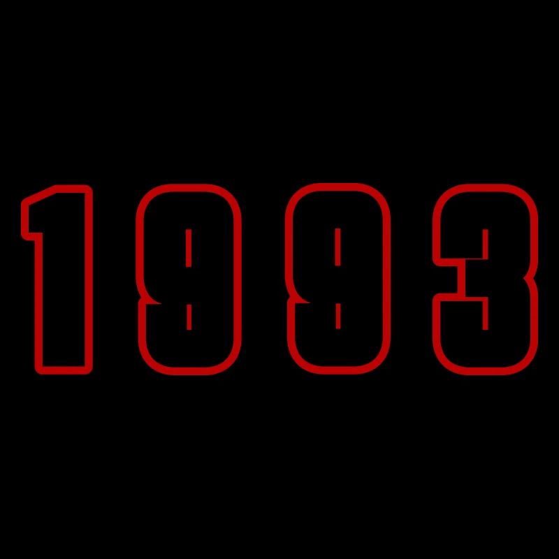 1993 Year Number