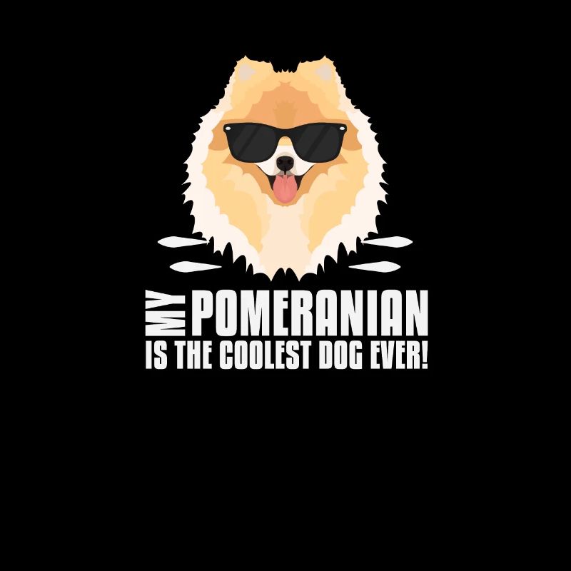 Mon spitz nain est le plus cool