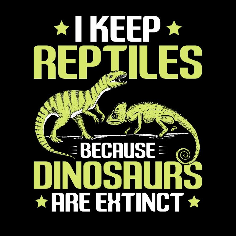 Reptilien Reptil Schlangen Eidechse Terrarium