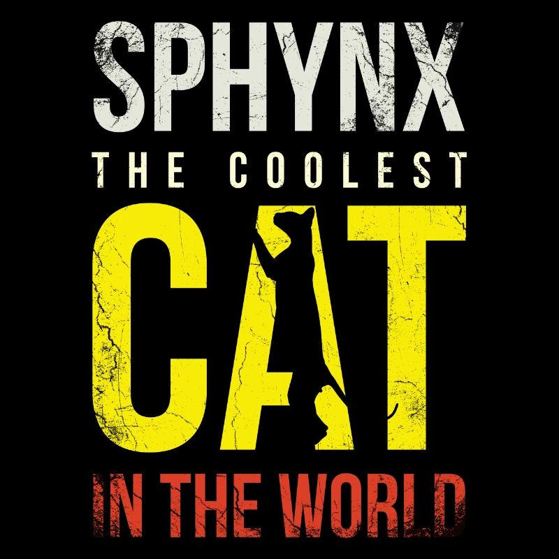 Sphynx Le chat le plus cool du monde pour Sphynx Cat
