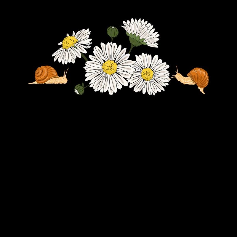 Marguerites Daisy Summer Daisies Jardin de fleurs