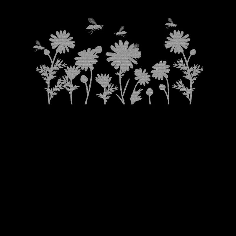 Marguerites Daisy Summer Daisies Jardin de fleurs
