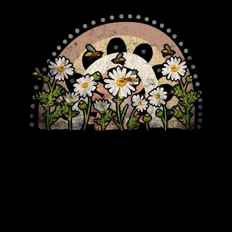 Marguerites Daisy Summer Daisies Jardin de fleurs